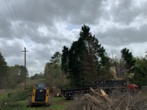 IMG-20250716-WA0109