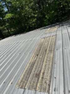 IMG-20250716-WA0137