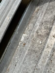 IMG-20250716-WA0140
